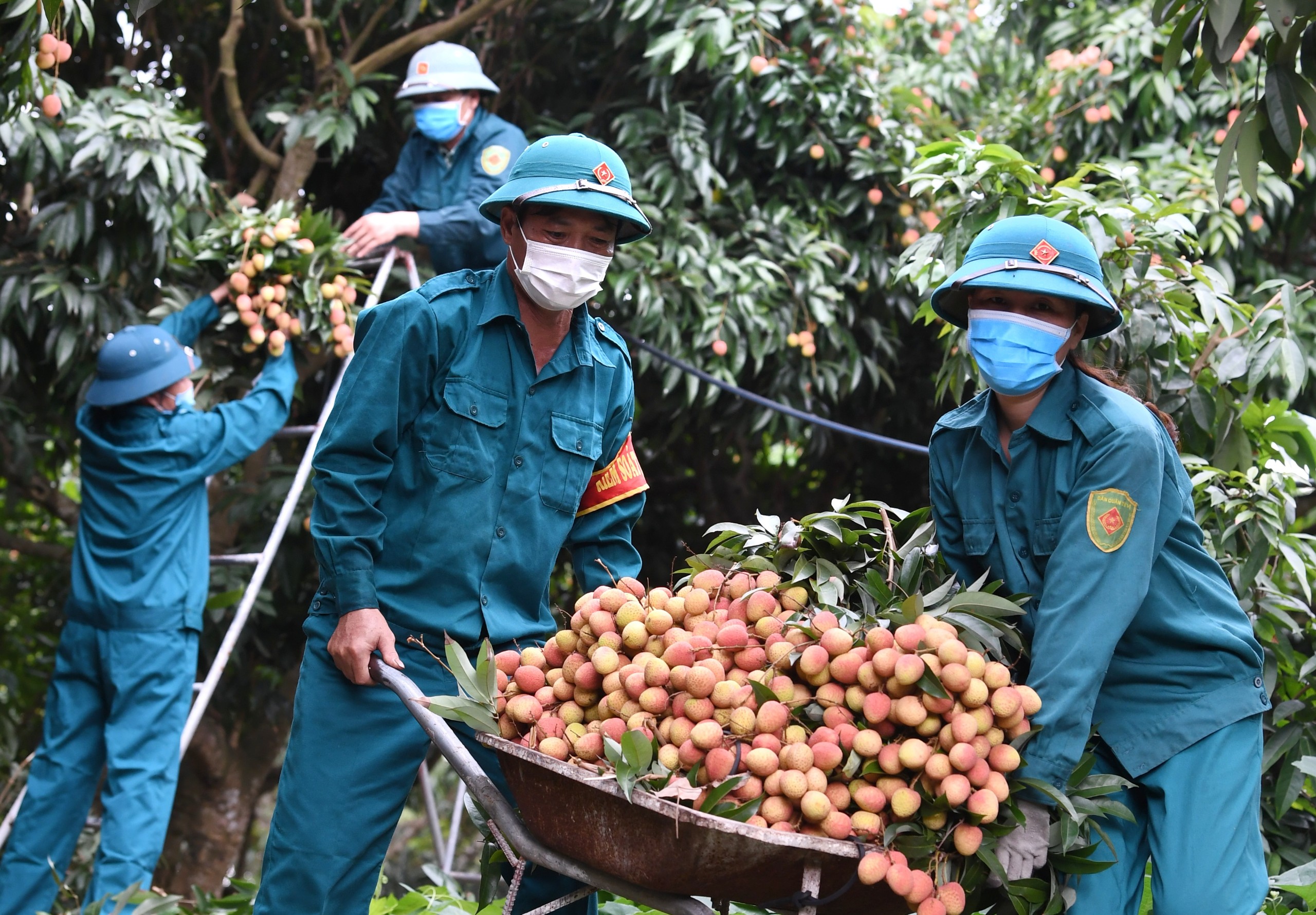 Bắc Giang nỗ lực đẩy lùi dịch bệnh, khôi phục sản xuất